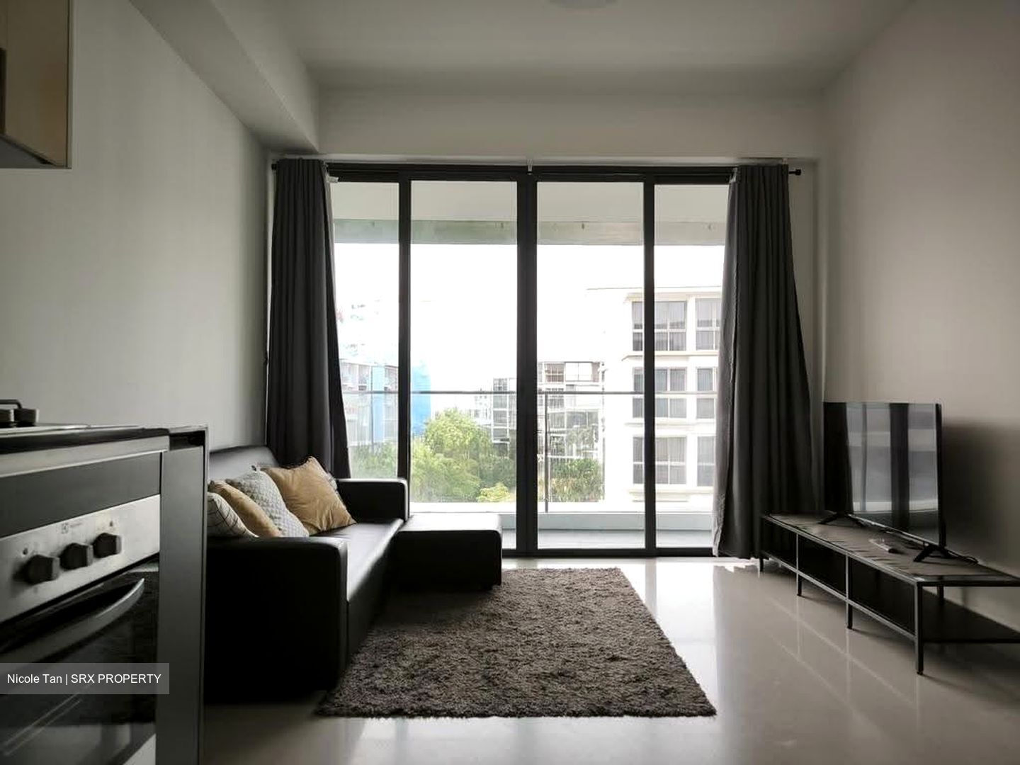 Hedges Park Condominium (D17), Condominium #623188331